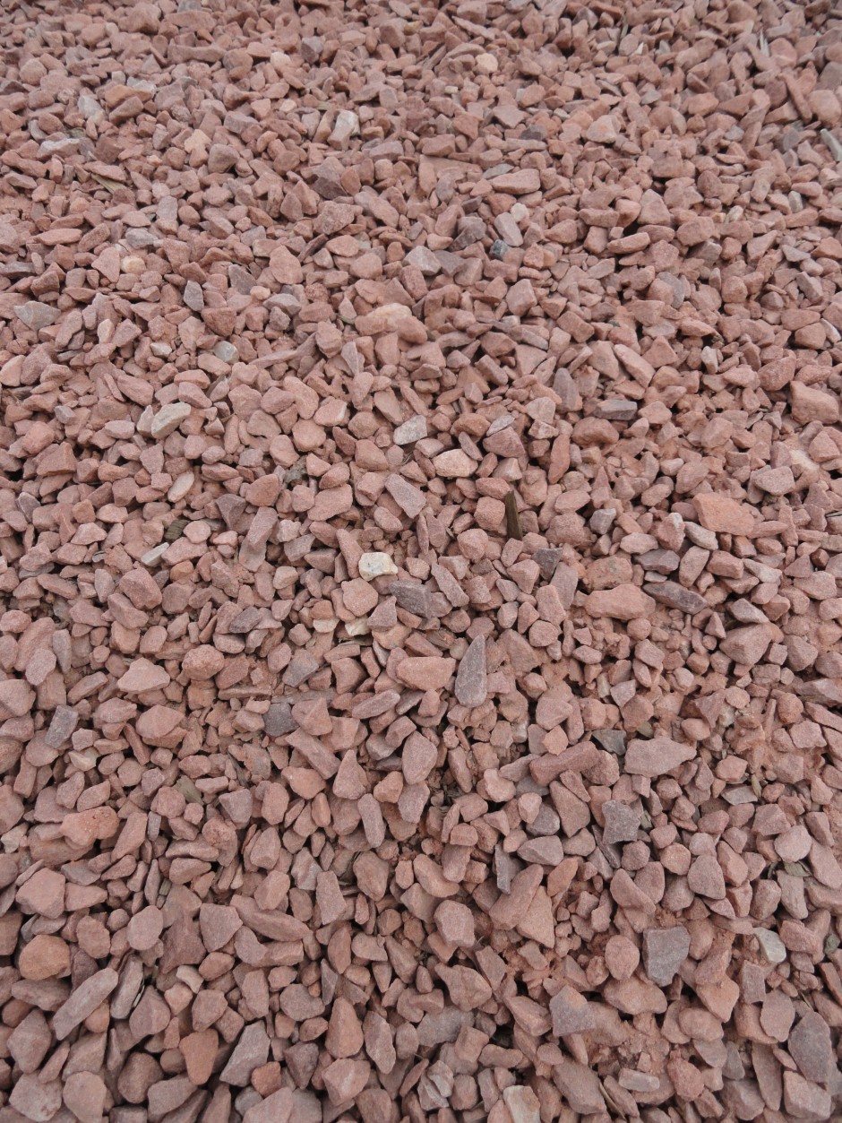 red chip suj photo
