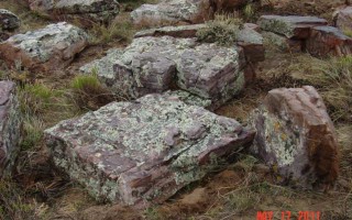 Moss Rocks - Landscaping